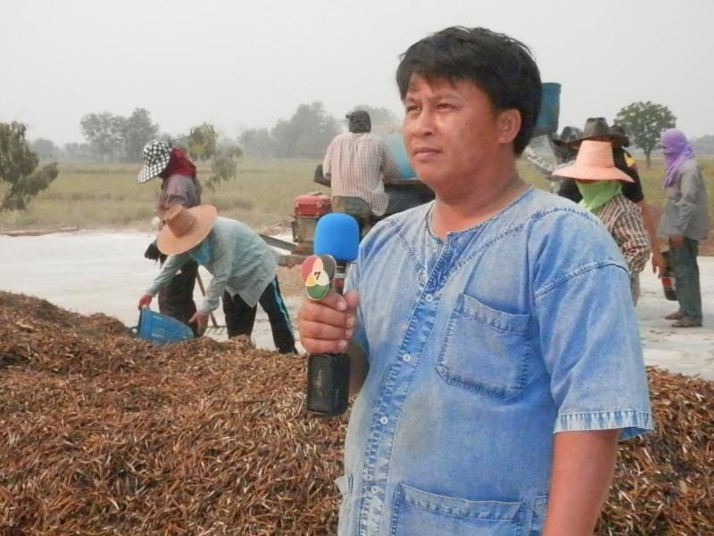 คุณสวอง สระเสริม เกษตรกร บรรยายการปลูกถั่วเขียวให้สื่อทีวี เพื่อเผยแพร่ผลงานของกลุ่ม