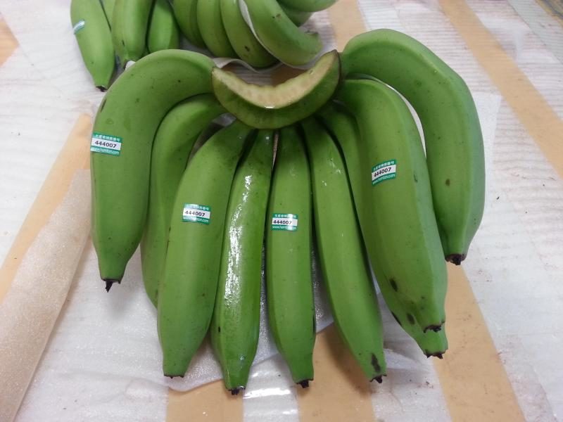 ติดรหัสแปลงที่หวีกล้วยเพื่อประโยชน์ในการตรวจสอบย้อนกลับ