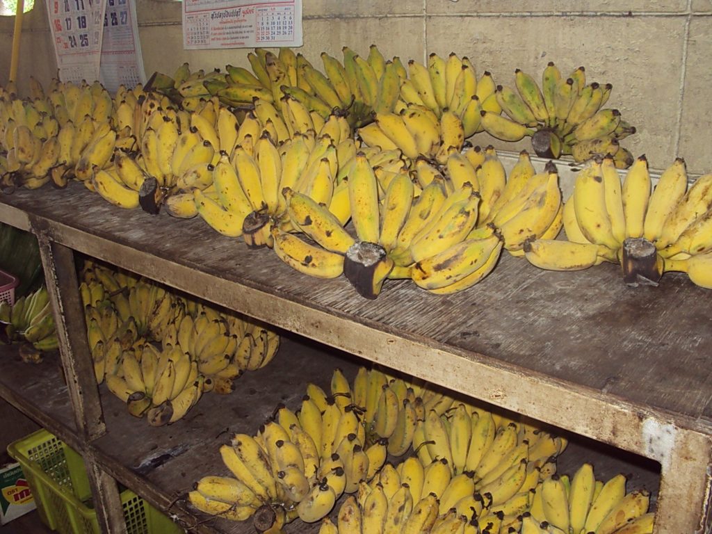 กล้วยสั่งมาจากอำเภอดำเนินสะดวก จังหวัดราชบุรี