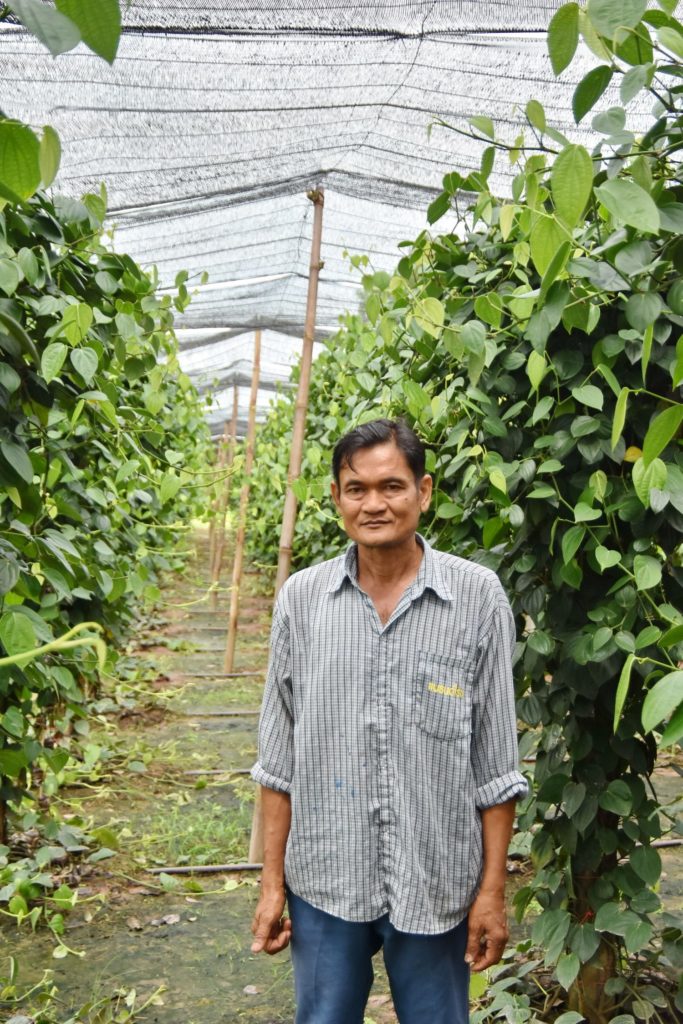 คุณประเสริฐ จันทโรทัย กับสวนพริกไทย ที่ถือว่าเป็นพืชชนิดใหม่ในพื้นที่ ซึ่งมีเพื่อนเกษตรกรเริ่มให้ความสนใจมากขึ้น
